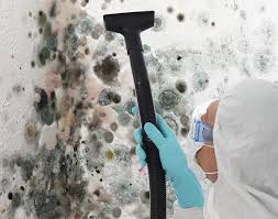 Mold Documentation for Insurance Claims in Buffalo, TX